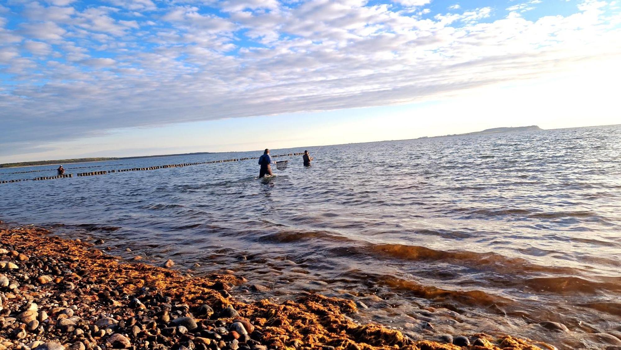 App 8O Grosser Tag Am Meer Mit Wasserblick Дранске Екстериор снимка